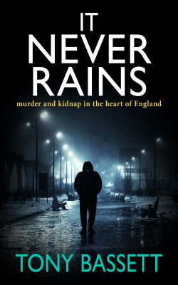 It never rains by Tony Bassett